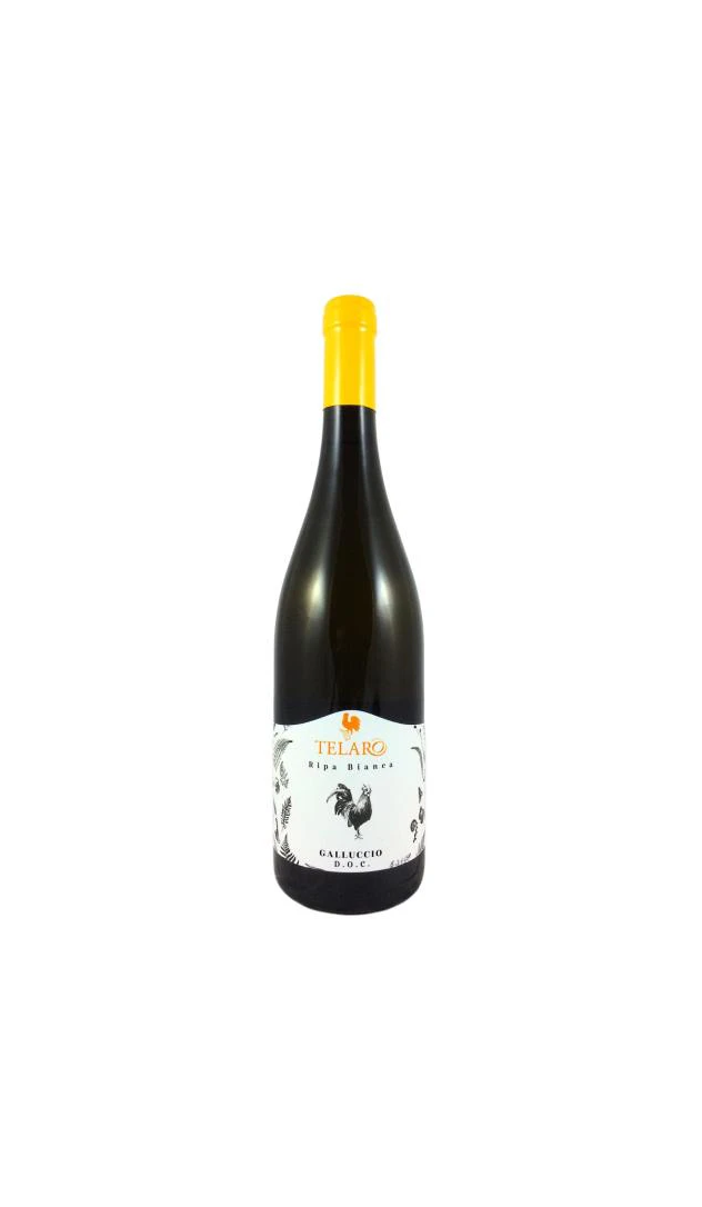 FALANGHINA RIPABIANCA 75 CL