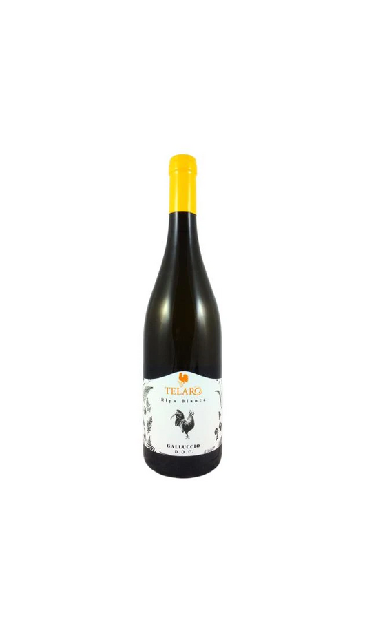 FALANGHINA RIPABIANCA 75 CL